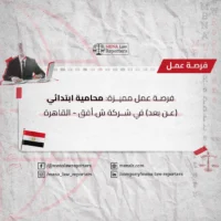 شركة ش.أفق